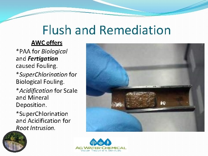 Flush and Remediation AWC offers *PAA for Biological and Fertigation caused Fouling. *Super. Chlorination