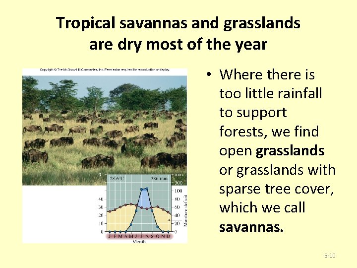 Tropical savannas and grasslands are dry most of the year • Where there is