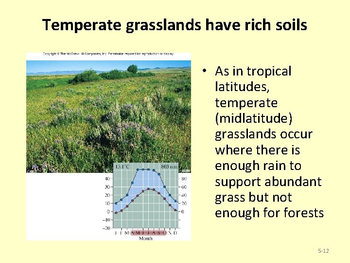 Temperate grasslands have rich soils • As in tropical latitudes, temperate (midlatitude) grasslands occur