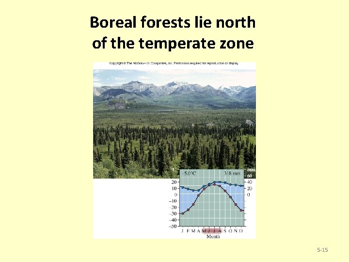 Boreal forests lie north of the temperate zone 5 -15 