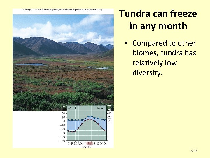 Tundra can freeze in any month • Compared to other biomes, tundra has relatively