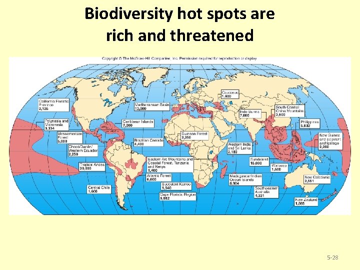 Biodiversity hot spots are rich and threatened 5 -28 