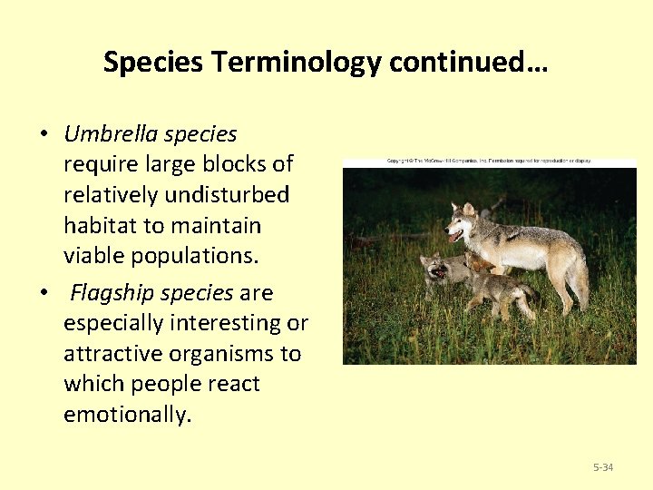 Species Terminology continued… • Umbrella species require large blocks of relatively undisturbed habitat to