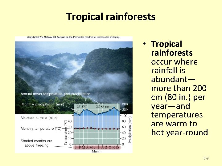 Tropical rainforests • Tropical rainforests occur where rainfall is abundant— more than 200 cm