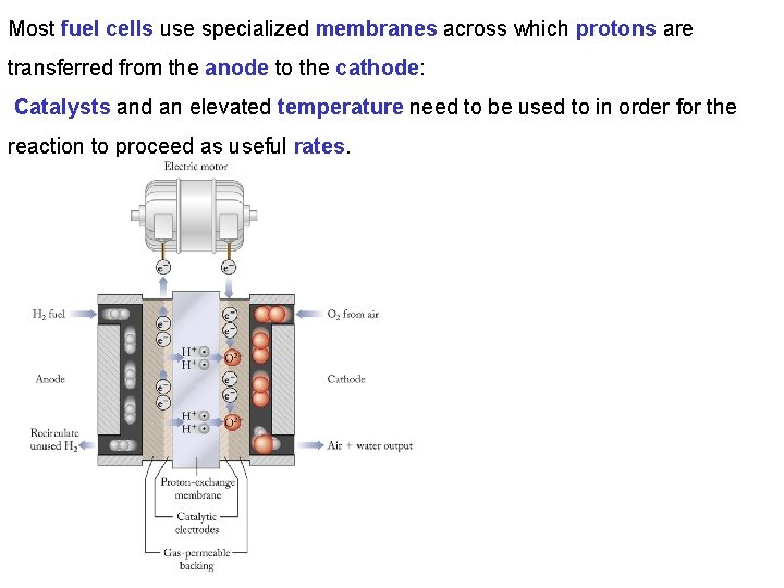 Most fuel cells use specialized membranes across which protons are transferred from the anode