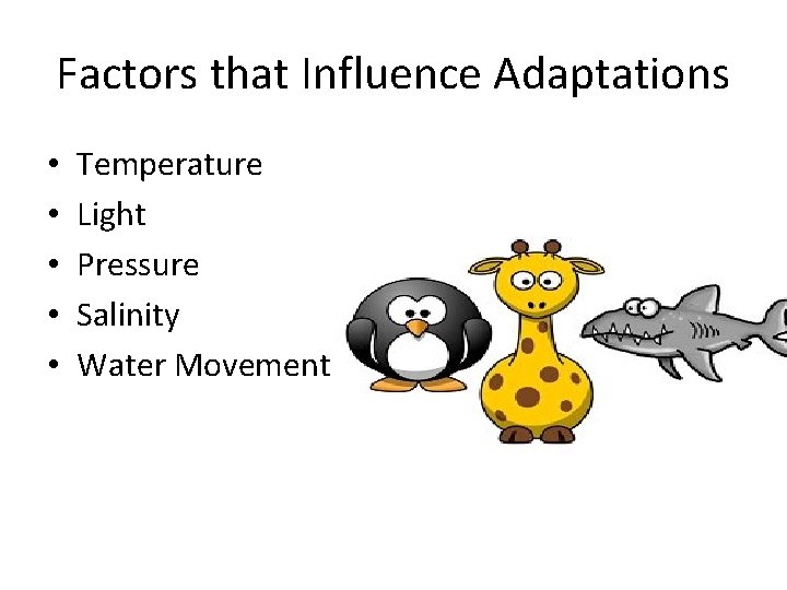 Factors that Influence Adaptations • • • Temperature Light Pressure Salinity Water Movement 