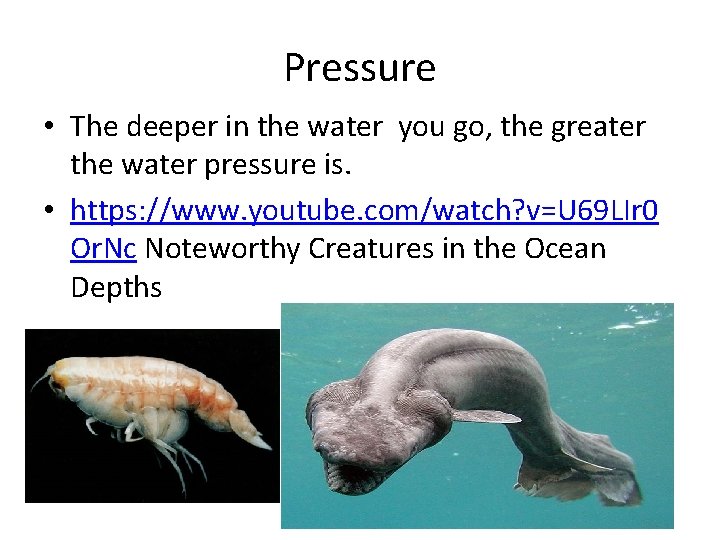 Pressure • The deeper in the water you go, the greater the water pressure