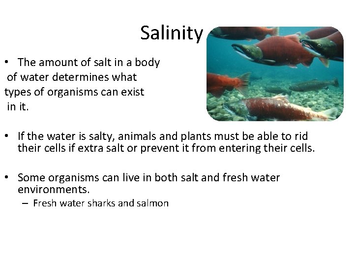 Salinity • The amount of salt in a body of water determines what types