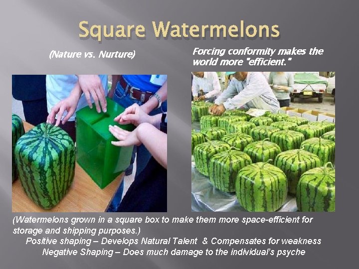 Square Watermelons (Nature vs. Nurture) Forcing conformity makes the world more "efficient. " (Watermelons