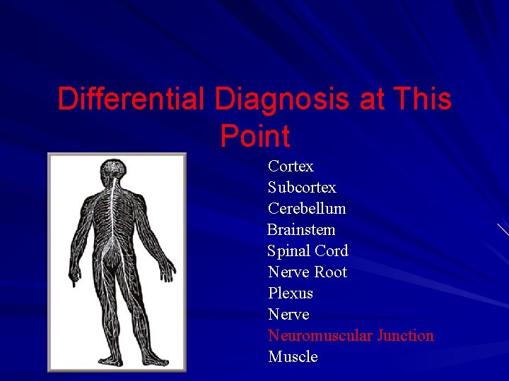 Differential Diagnosis at This Point Cortex Subcortex Cerebellum Brainstem Spinal Cord Nerve Root Plexus