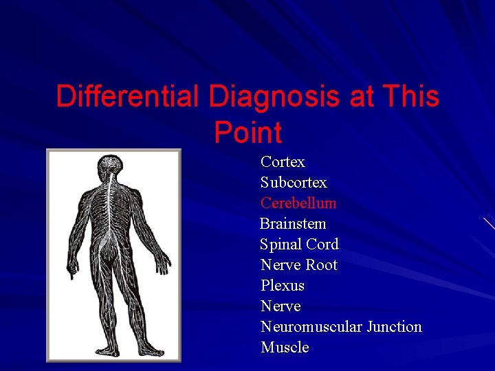 Differential Diagnosis at This Point Cortex Subcortex Cerebellum Brainstem Spinal Cord Nerve Root Plexus