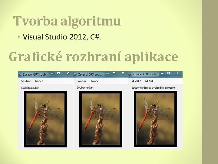 Tvorba algoritmu • Visual Studio 2012, C#. Grafické rozhraní aplikace 