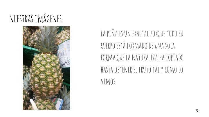 fractales y nmero ureo ngela Lpez y Juliana