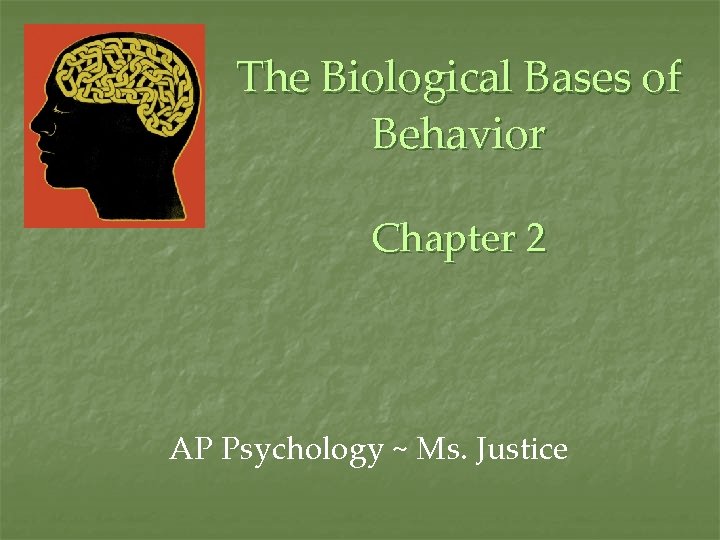 The Biological Bases of Behavior Chapter 2 AP Psychology ~ Ms. Justice 
