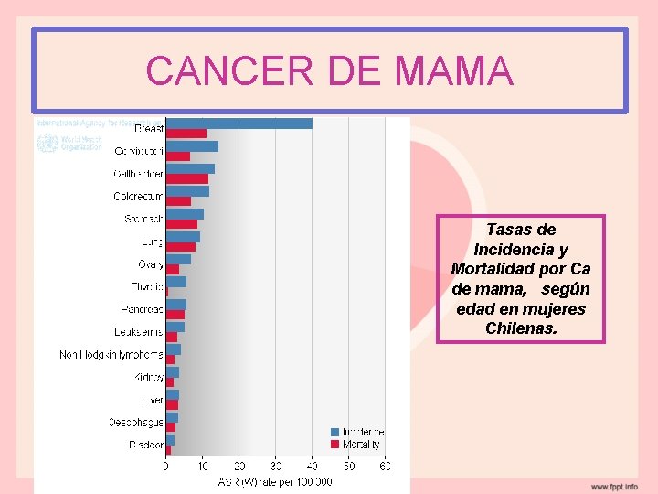 CANCER DE MAMA Tasas de Incidencia y Mortalidad por Ca de mama, según edad