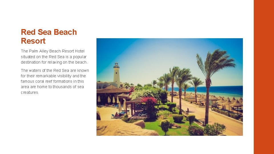 Red Sea Beach Resort The Palm Alley Beach Resort Hotel situated on the Red