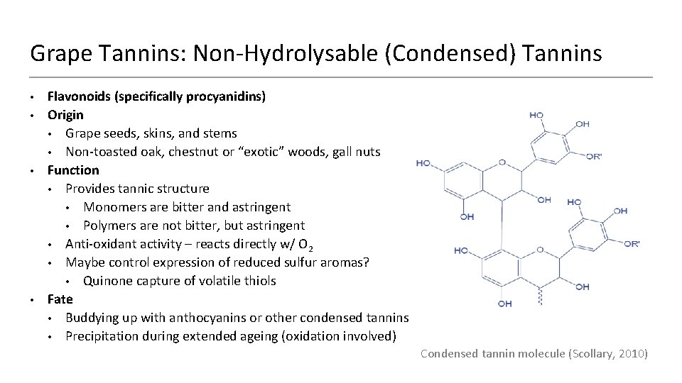 Grape Tannins: Non-Hydrolysable (Condensed) Tannins • • Flavonoids (specifically procyanidins) Origin • Grape seeds,