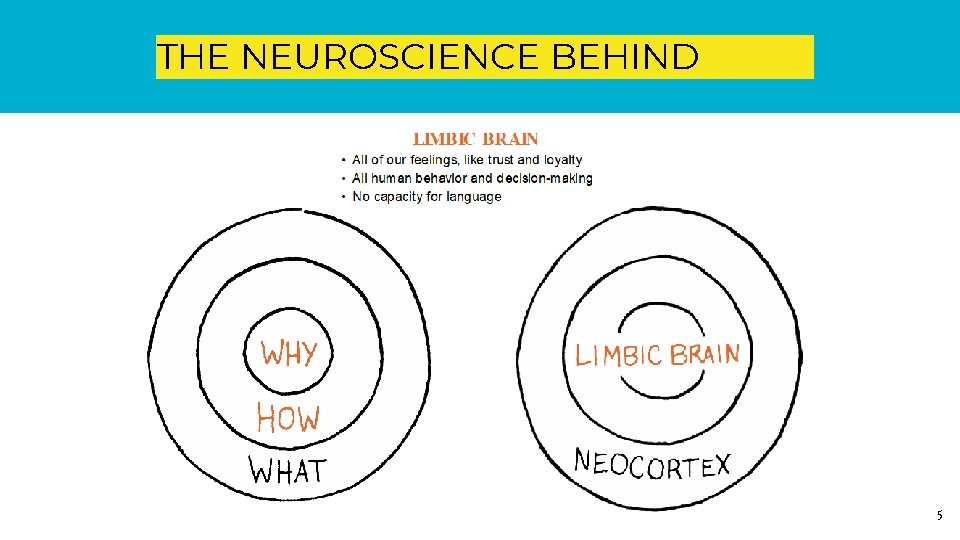 THE NEUROSCIENCE BEHIND WHY 5 