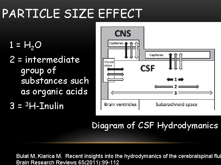 PARTICLE SIZE EFFECT 1 = H 2 O 2 = intermediate group of substances