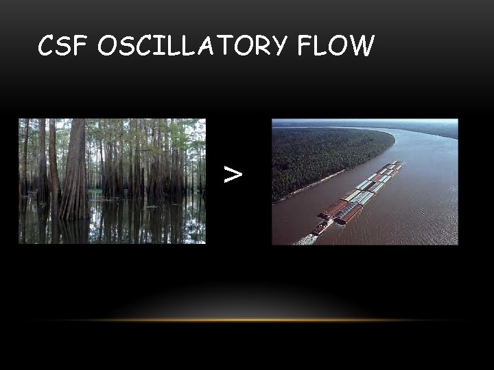 CSF OSCILLATORY FLOW > 