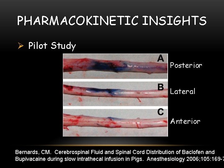 PHARMACOKINETIC INSIGHTS Ø Pilot Study Posterior Lateral Anterior Bernards, CM. Cerebrospinal Fluid and Spinal