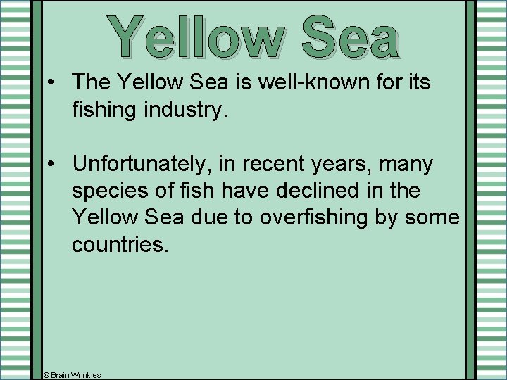 Yellow Sea • The Yellow Sea is well-known for its fishing industry. • Unfortunately, Yellow Sea • The Yellow Sea is well-known for its fishing industry. • Unfortunately,