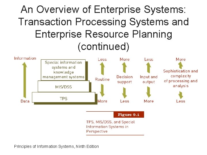 An Overview of Enterprise Systems: Transaction Processing Systems and Enterprise Resource Planning (continued) Principles