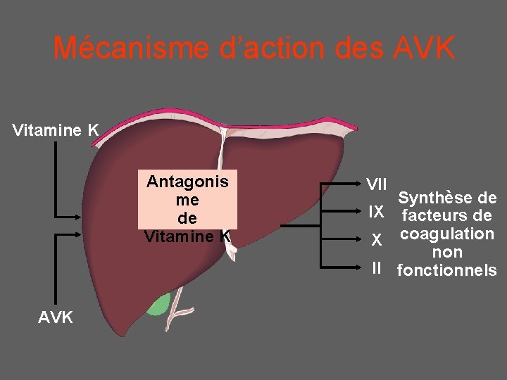 Mécanisme d’action des AVK Vitamine K Antagonis me de Vitamine K AVK VII Synthèse