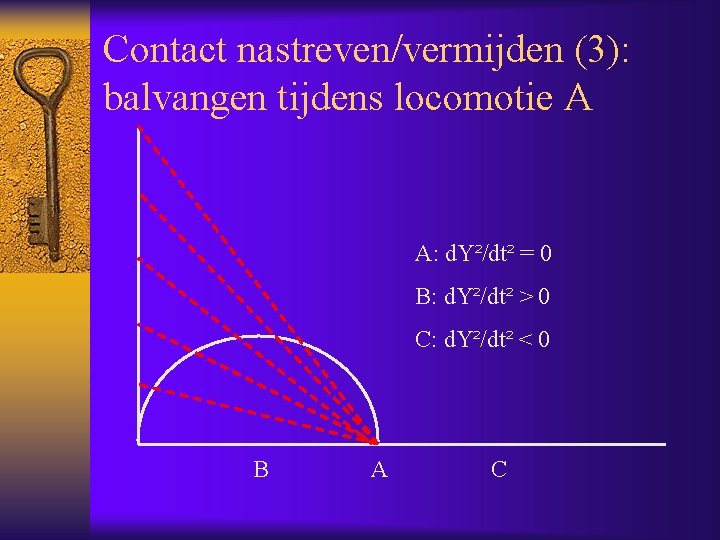 Contact nastreven/vermijden (3): balvangen tijdens locomotie A A: d. Y²/dt² = 0 B: d.