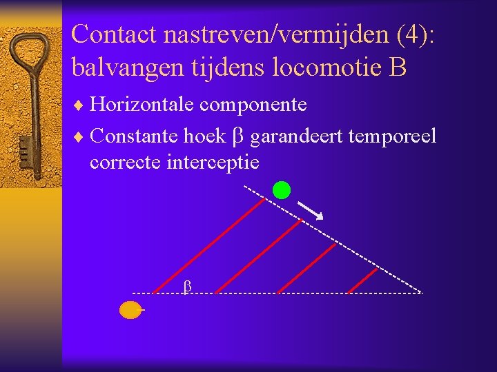 Contact nastreven/vermijden (4): balvangen tijdens locomotie B ¨ Horizontale componente ¨ Constante hoek garandeert