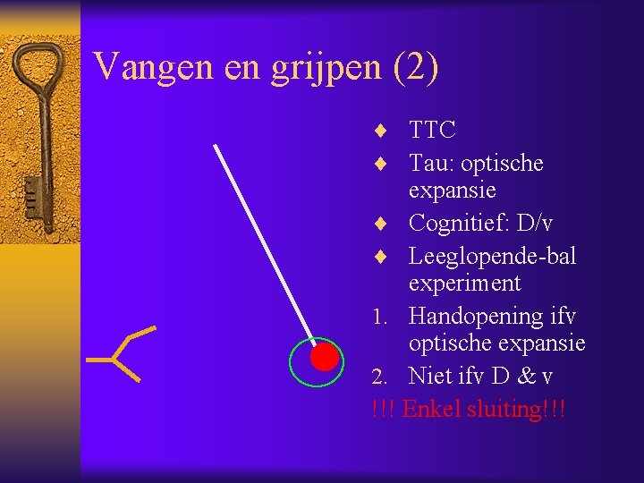 Vangen en grijpen (2) ¨ TTC ¨ Tau: optische expansie ¨ Cognitief: D/v ¨