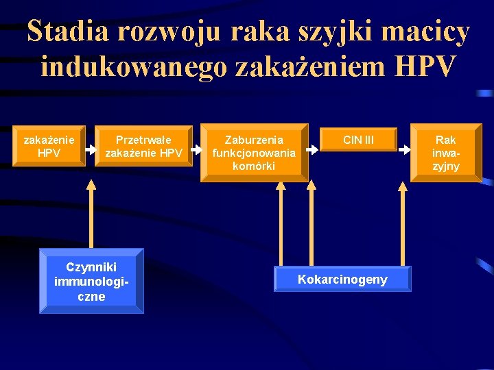 Stadia rozwoju raka szyjki macicy indukowanego zakażeniem HPV zakażenie HPV Przetrwałe zakażenie HPV Czynniki