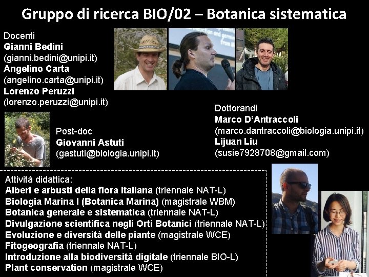Gruppo di ricerca BIO/02 – Botanica sistematica Docenti Gianni Bedini (gianni. bedini@unipi. it) Angelino