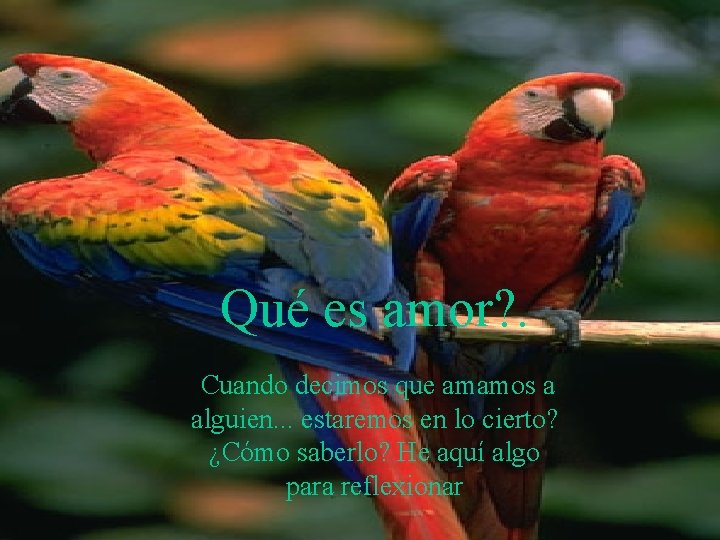 Qué es amor? . Cuando decimos que amamos a alguien. . . estaremos en