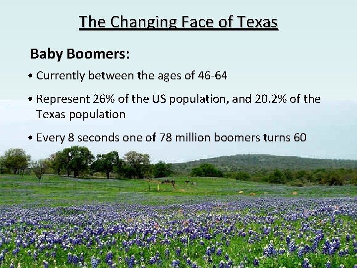 The Changing Face of Texas Baby Boomers: • Currently between the ages of 46