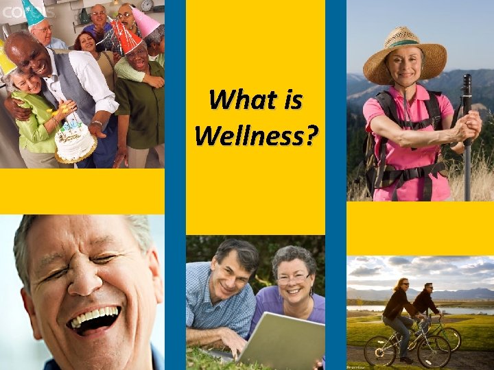 What is Wellness? 