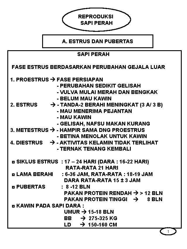 REPRODUKSI SAPI PERAH A. ESTRUS DAN PUBERTAS SAPI PERAH FASE ESTRUS BERDASARKAN PERUBAHAN GEJALA