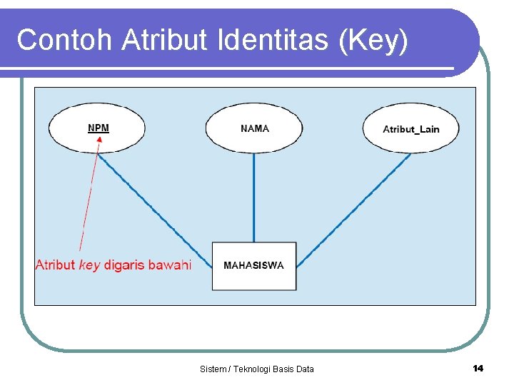 Contoh Atribut Identitas (Key) Sistem / Teknologi Basis Data 14 