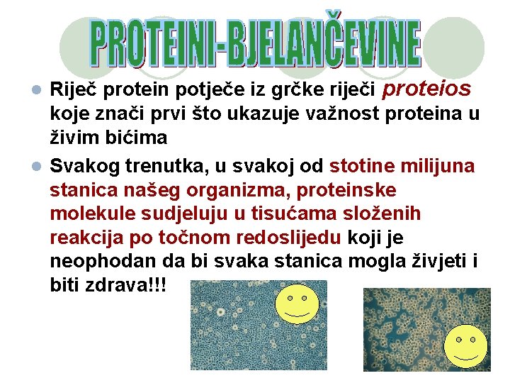 Riječ protein potječe iz grčke riječi proteios koje znači prvi što ukazuje važnost proteina