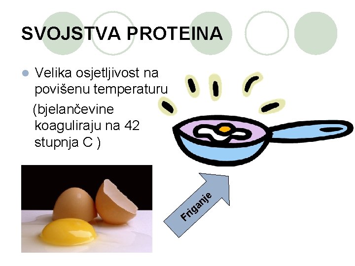 SVOJSTVA PROTEINA l Velika osjetljivost na povišenu temperaturu (bjelančevine koaguliraju na 42 stupnja C