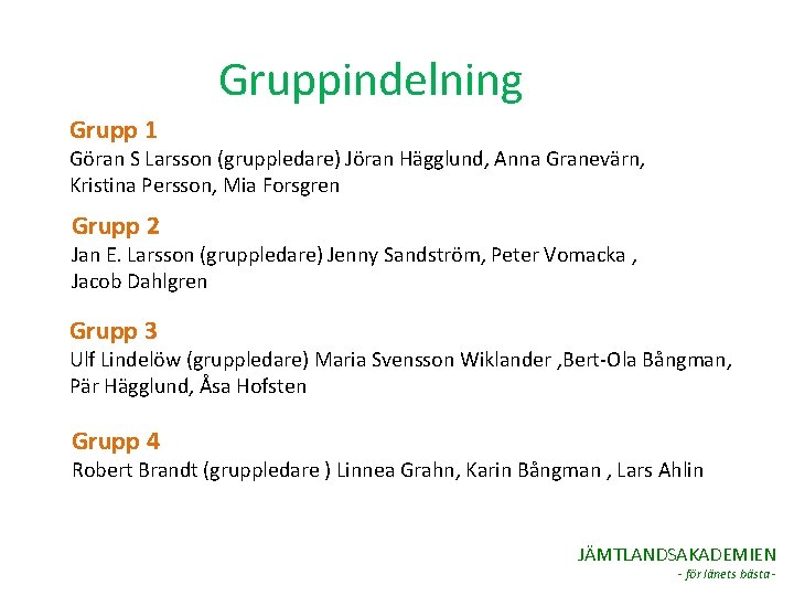 Gruppindelning Grupp 1 Göran S Larsson (gruppledare) Jöran Hägglund, Anna Granevärn, Kristina Persson, Mia