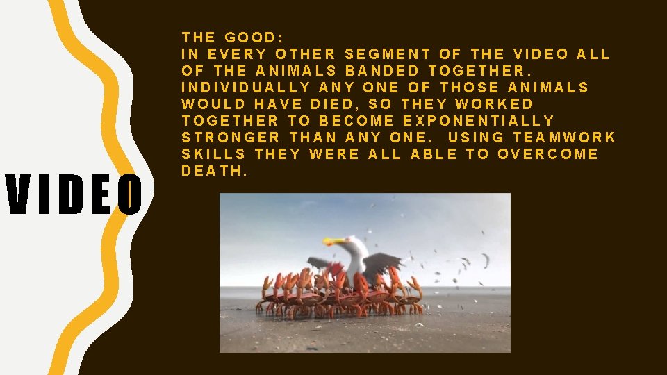 VIDEO THE GOOD: IN EVERY OTHER SEGMENT OF THE VIDEO ALL OF THE ANIMALS