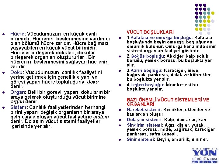 l l Hücre: Vücudumuzun en küçük canlı birimidir. Hücrenin beslenmesine yardımcı olan bölümü hücre