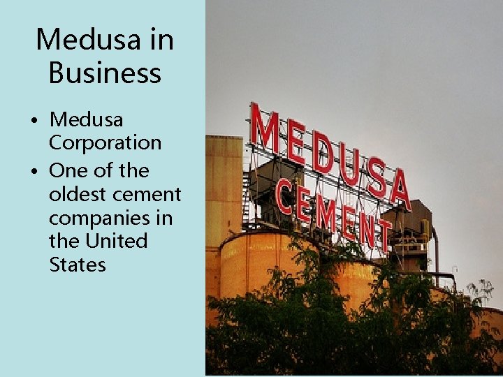 Medusa in Business • Medusa Corporation • One of the oldest cement companies in