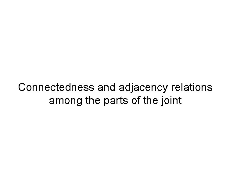 Connectedness and adjacency relations among the parts of the joint 