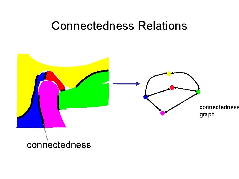 Connectedness Relations ANTERIO R connectedness graph 