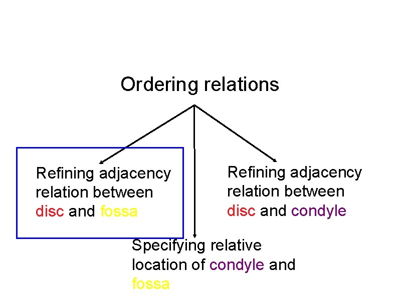 Ordering relations Refining adjacency relation between disc and fossa Refining adjacency relation between disc