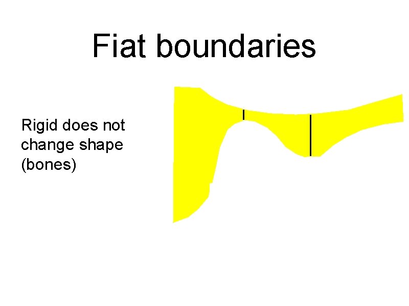 Fiat boundaries Rigid does not change shape (bones) 