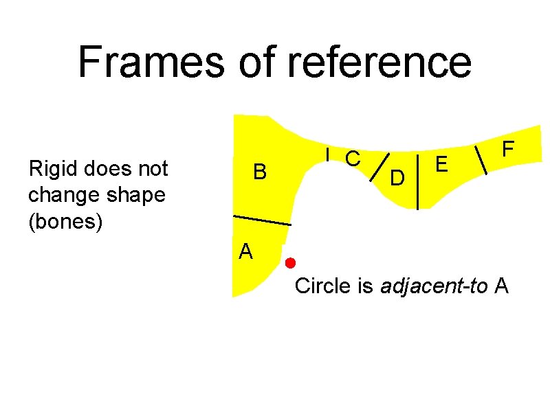 Frames of reference Rigid does not change shape (bones) B C D E F