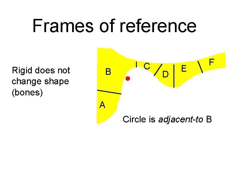 Frames of reference Rigid does not change shape (bones) B C D E F